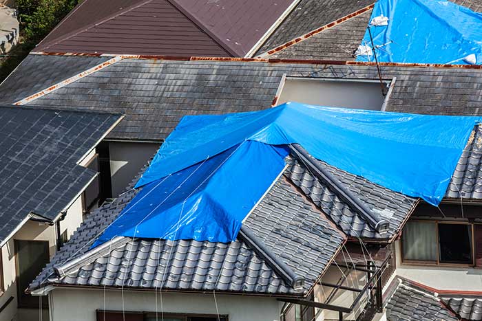 Roof Installation, Repair and Maintenance Services 