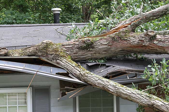 Storm Damage Restoration Services